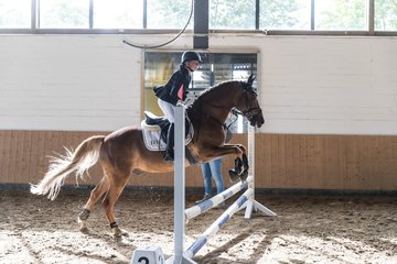 Bild 170 - Pony Akademie Turnier